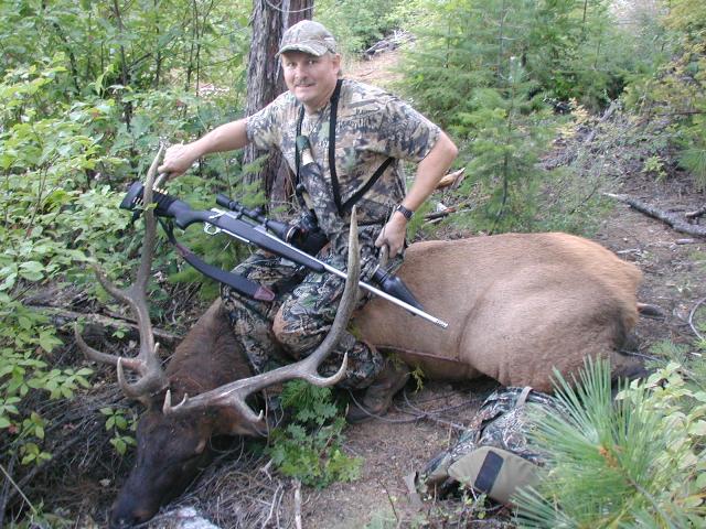 Richs2010elk006.jpg